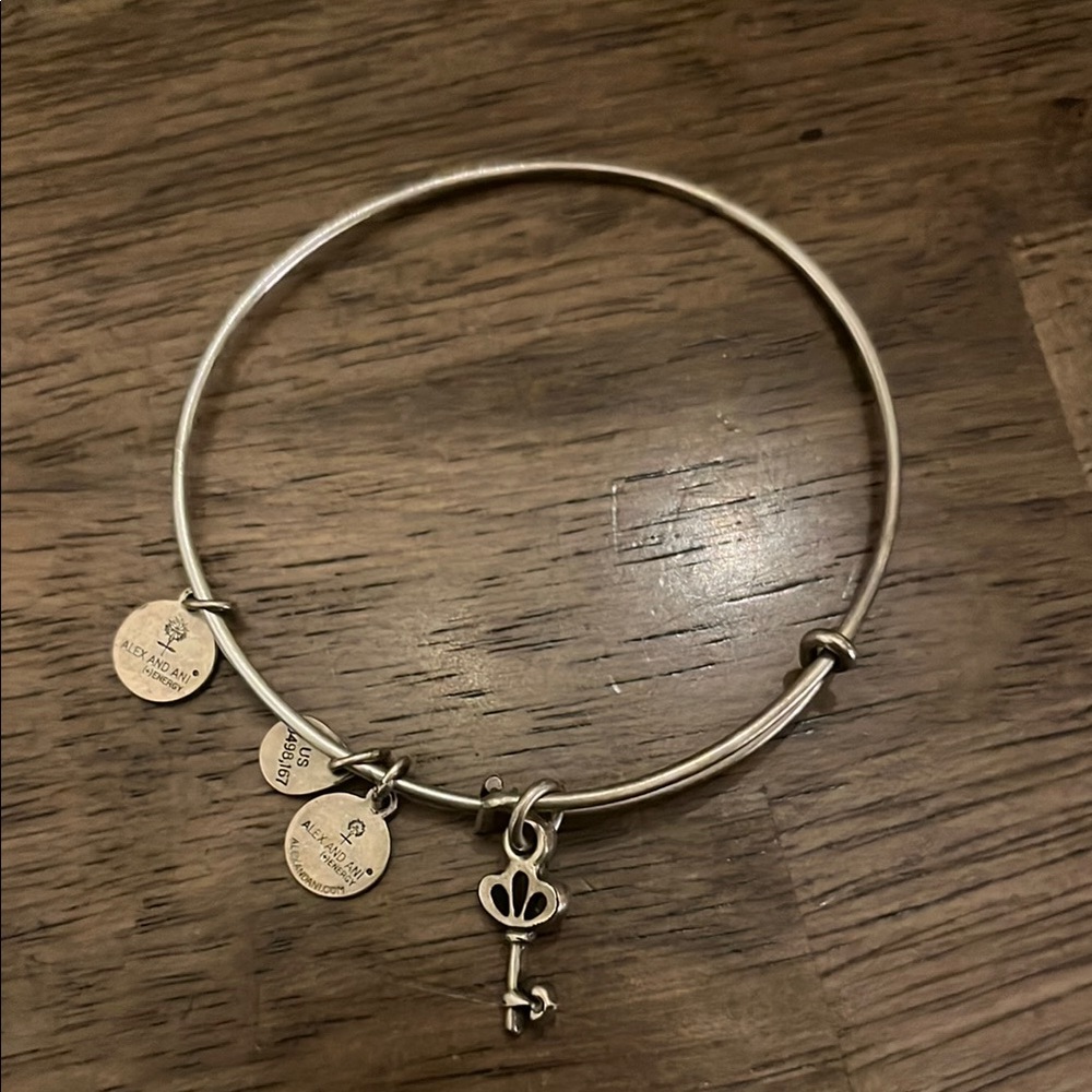 Alex and Ani Silver Key Charm Bracelet